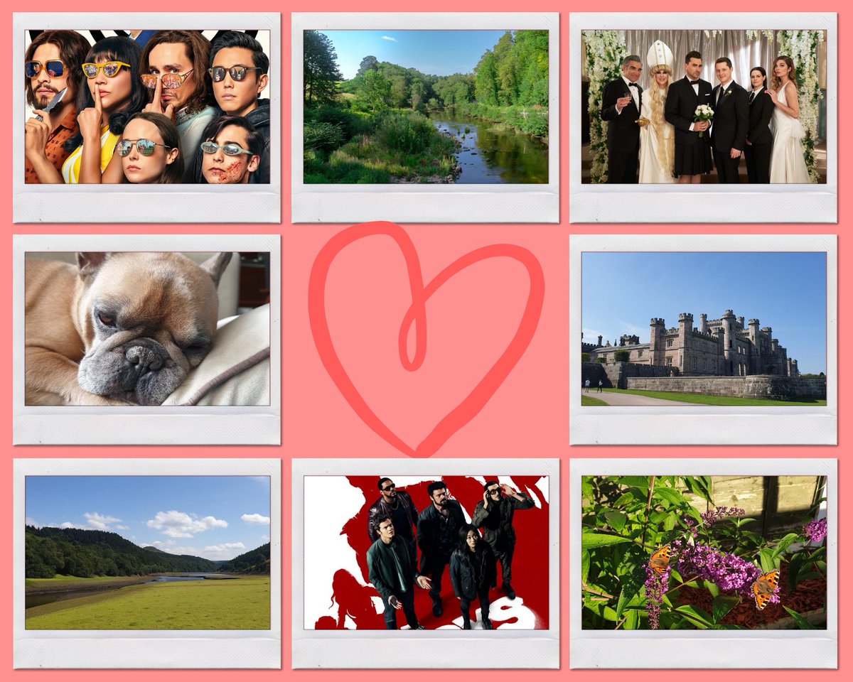 I'm so behind on #31DaysOfCreativity 🤦‍♀️ day 25... A few things I've been grateful for in lockdown. Beautiful 😍 walks with my loved ones. Binging <a href="/TheBoysTV/">THE BOYS</a>, <a href="/SchittsCreek/">Schitt's Creek</a> &amp; <a href="/UmbrellaAcad/">Umbrella Academy</a>. Breakfast in the garden with SO many butterflies 🦋 &amp; of course my office buddy Badger 🐶
