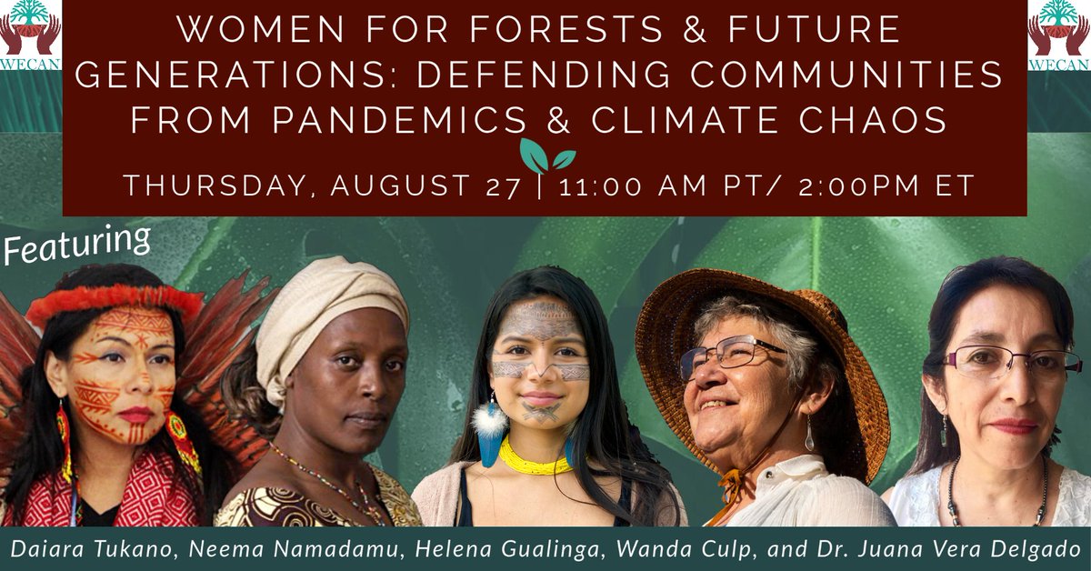 Learning from these powerful feminist environmental defenders in @WECAN_INTL's #WomenforForests webinar 🌱

Tune in along with us ➡️ facebook.com/watch/?v=83775… 

Quotes below💜⬇️