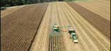 ArFB's tweet photo. Farmers were working hard earlier this week to get corn harvested in preparation of Hurricane Laura. 📸 courtesy of @JohnDFarabough, Desha County CES. #ArkAg #Harvest2020 #Corn #Agriculture https://t.co/kFrGGNJYVN