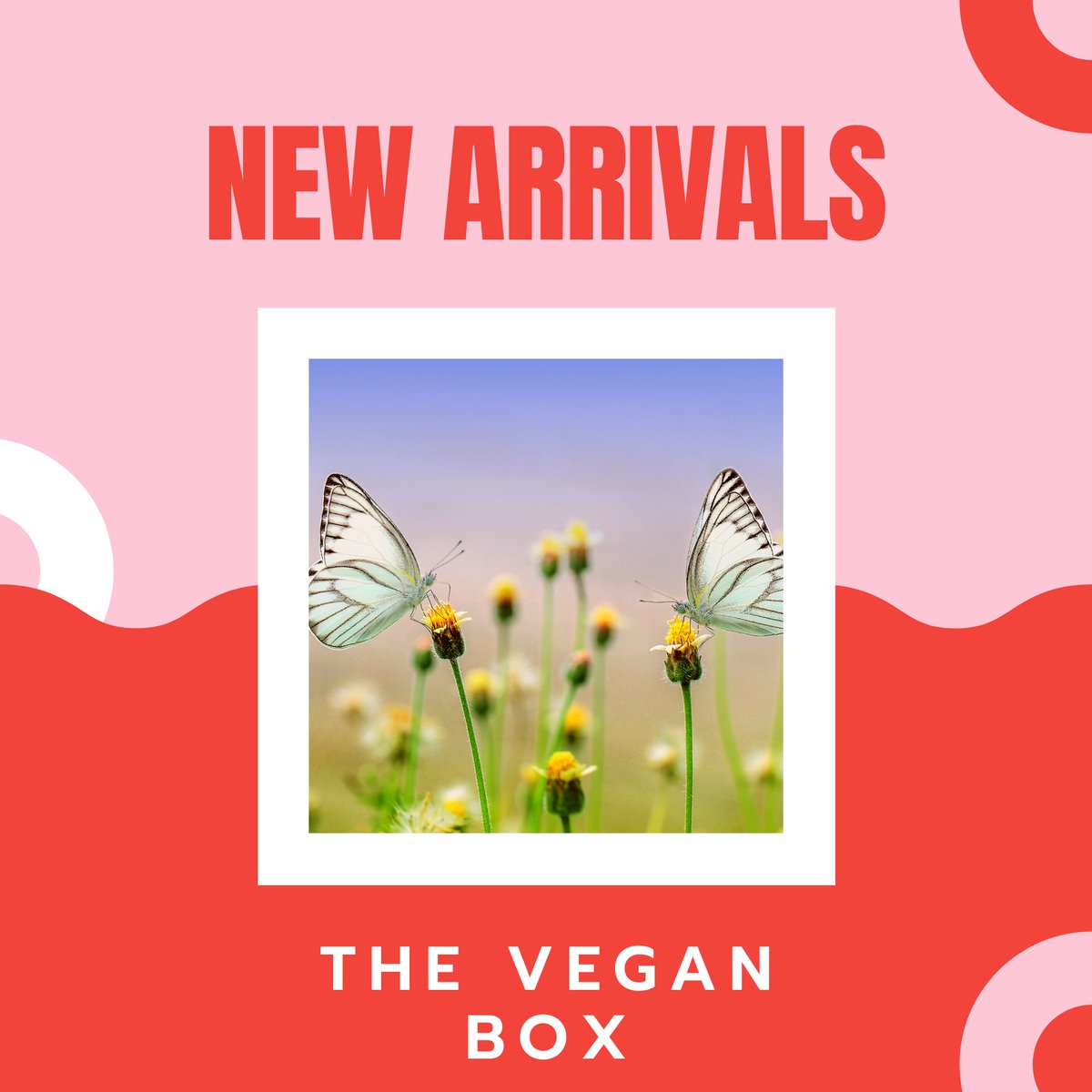 WHITEBOXBeer's tweet photo. Our Vegan Beer Gift Box would make an excellent present for anyone who follows a vegan diet. 🌱 If you'd like to know more, we have all the info here: https://t.co/wnqVlBLHDC

#vegan #veganinspiration #veganmystyle #vegangifts
#whiteboxbeer #beer #bittter  #beertography https://t.co/QBbxiWFTFG