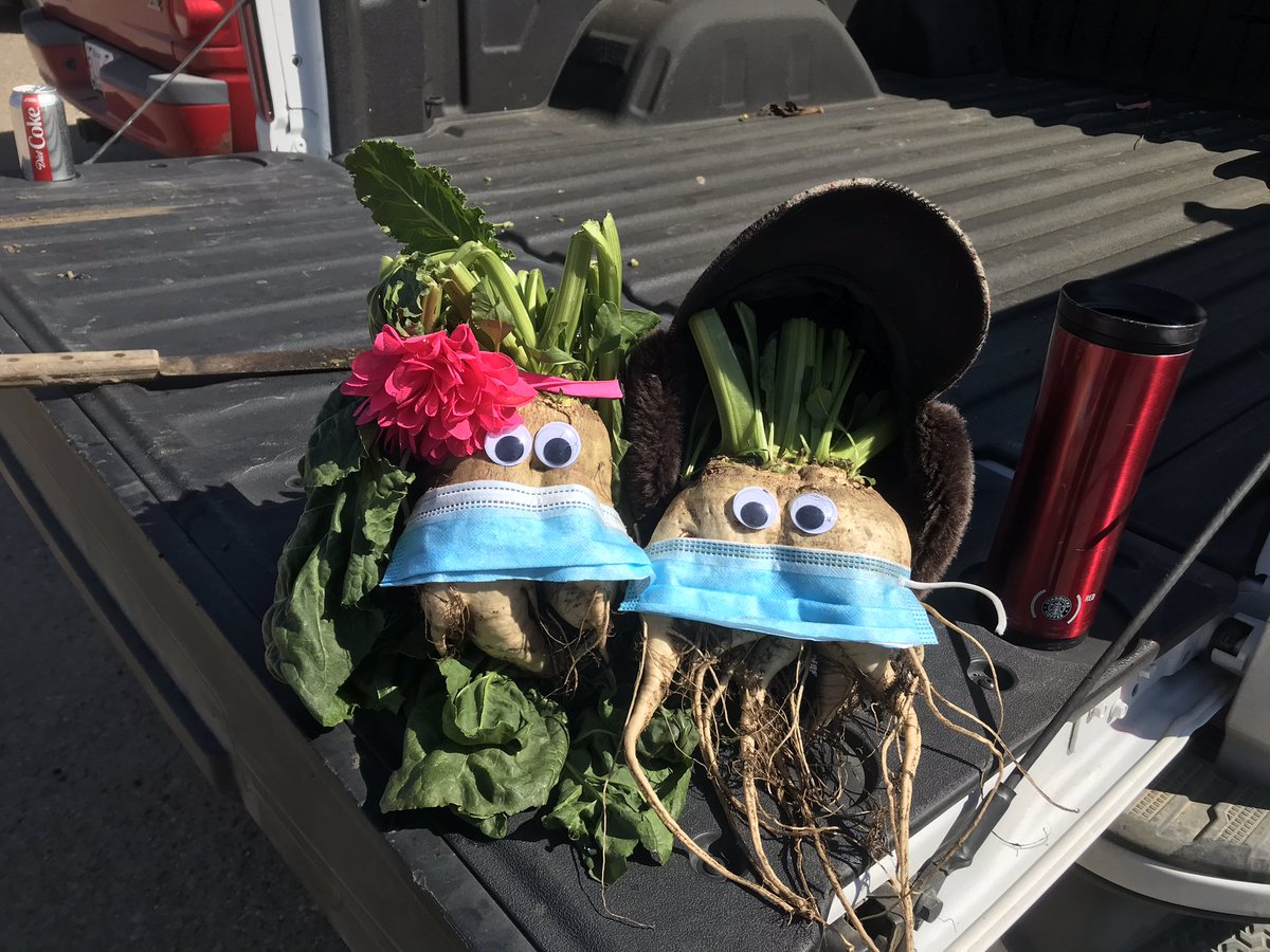 Roger’s Sugar first ‘big beet competition’ and campaign kickoff lunch. Bryce was the big winner (2nd picture) <a href="/KustersLindsay/">Lindsay Kusters</a>