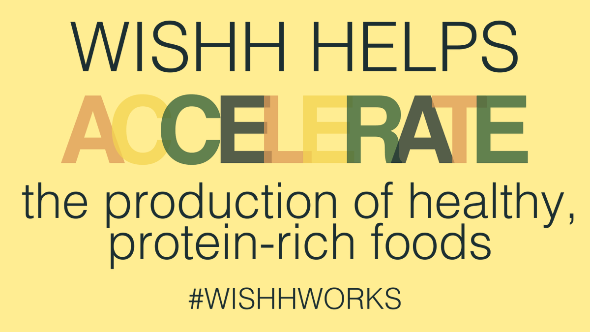 ASA_Soybeans's tweet image. #3 Big Reason Why #ASAWISHH Work Matters: Together with its strategic partners, WISHH builds businesses that manufacture nutritious &amp;amp; affordable soy-based foods—sustainably achieving food security and contributing to the goal of ending world hunger. #WISHHworks #DevelopingDemand