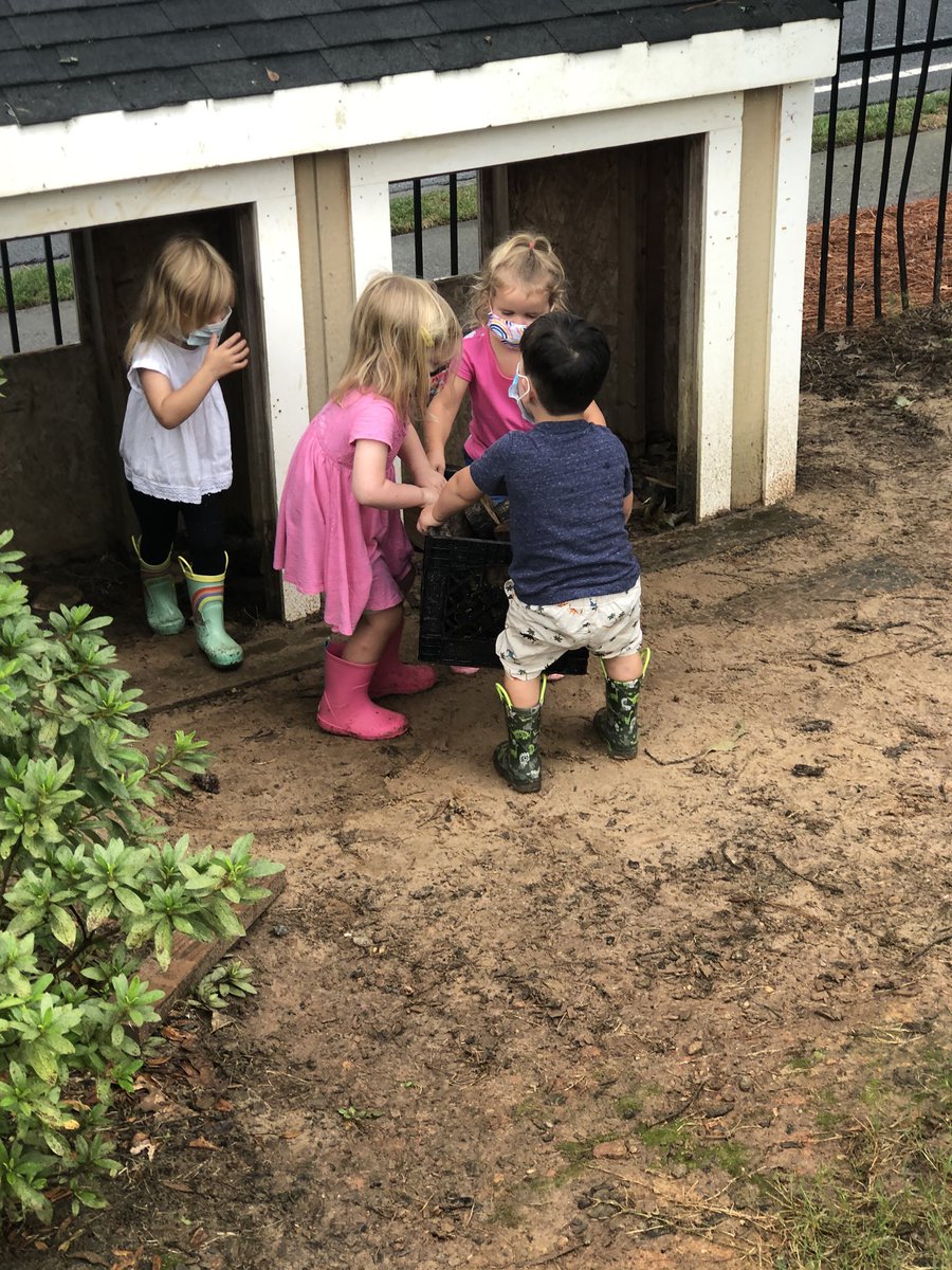 Cheryl Bruno tweet media