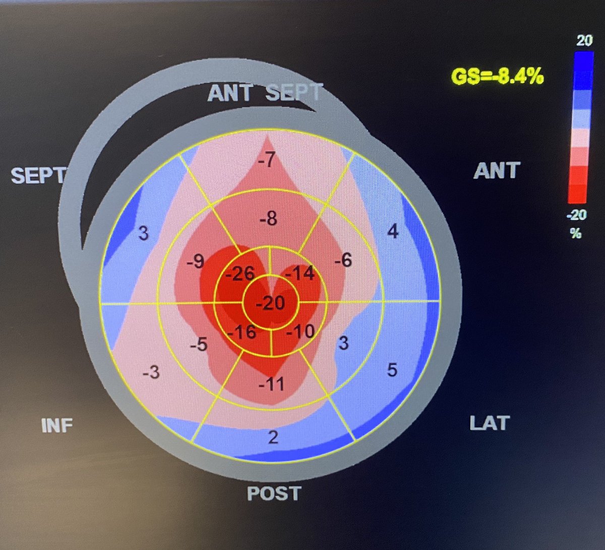 pedromsmarq's tweet image. ❤️