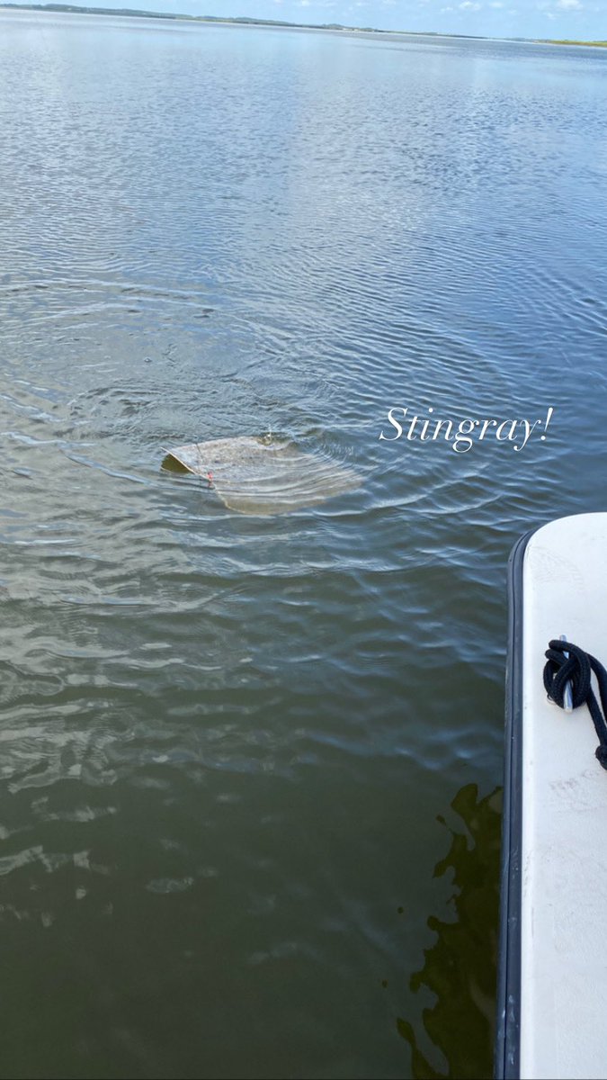 DefenseBaron's tweet image. But where’s the rum?
#outofofficereply #saltlife