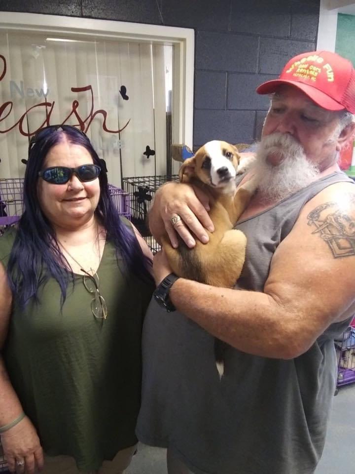 Help Luna their way into the pages of Dogster or Catster Magazine and take home a $5,000 cash prize! americasfavpet.com/2020/luna-317