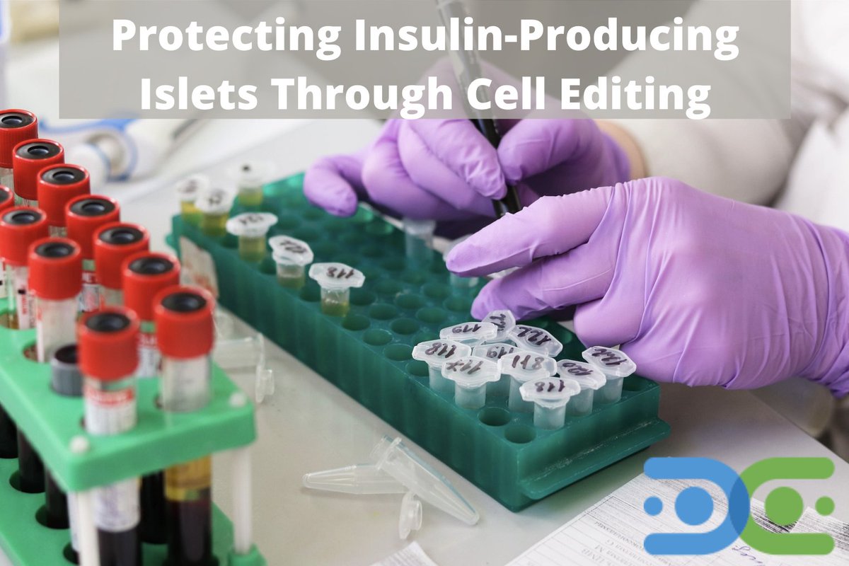DiabetesRsrch's tweet photo. #T1Thursday
Researchers are aiming to transform diabetes management in children with T1D by using cell editing to produce healthy, functioning T cells that would intervene in the destruction of insulin-producing beta cells.
https://t.co/VIBRNh2vK4
#T1D #Connect4ACure #DRC4T1D https://t.co/QkaeMeplie