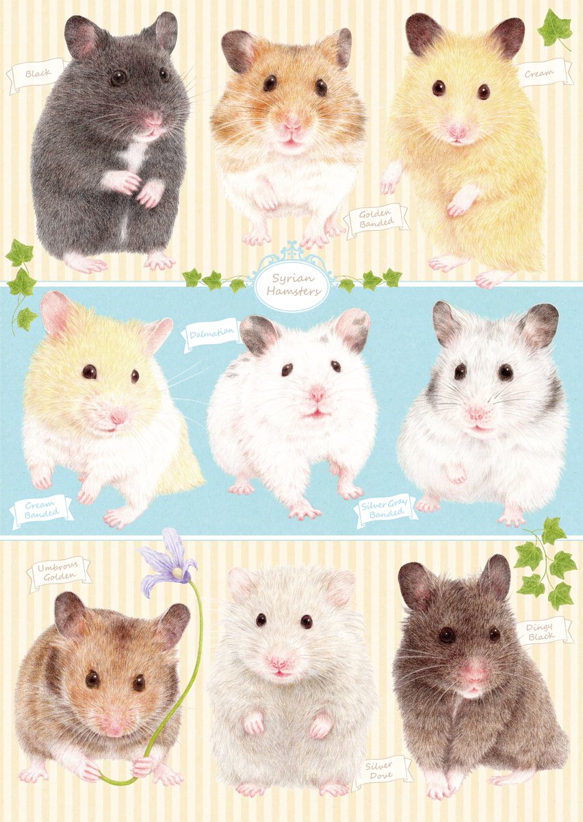 公式 クリエイターexpo しまだ ゆりな イラストレーター ゾーン 東洋美術学校卒業 書籍の挿絵や英語教材 スタンプ素材 バナーイラストなどのお仕事を中心に活動しております 明るく楽しくなるようなイラストを得意としております 様々な 公式 クリエイターexpo しまだ ゆりな イラストレーター ゾーン 東洋美術学校卒業 書籍の挿絵や英語教材 スタンプ素材 バナーイラストなどのお仕事を中心に活動しております 明るく楽しくなるようなイラストを得意としております 様々な