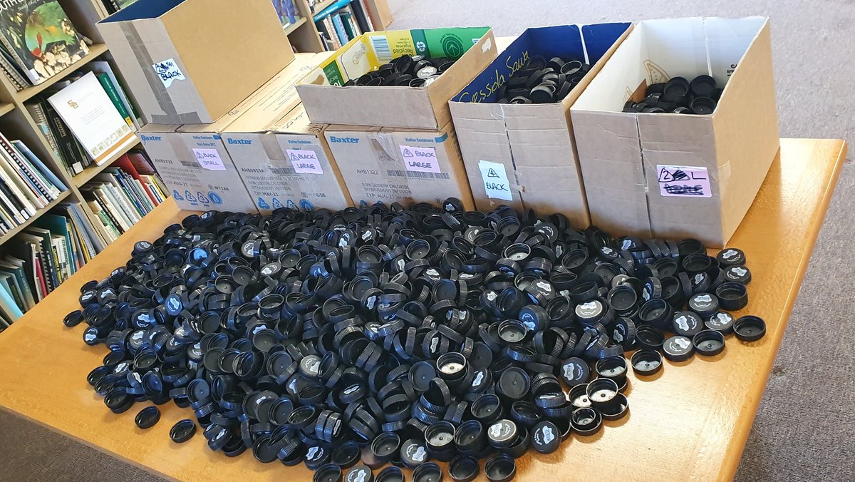 Lids4K's tweet photo. Polymer sorting plastic bottle lids at our 11th Lids4Kids Canberra Workshop 10am-2pm #waronwaste #BlackFriday #Recycle #Lids4Kids #CanberraMilk https://t.co/BI3l4B8L9j