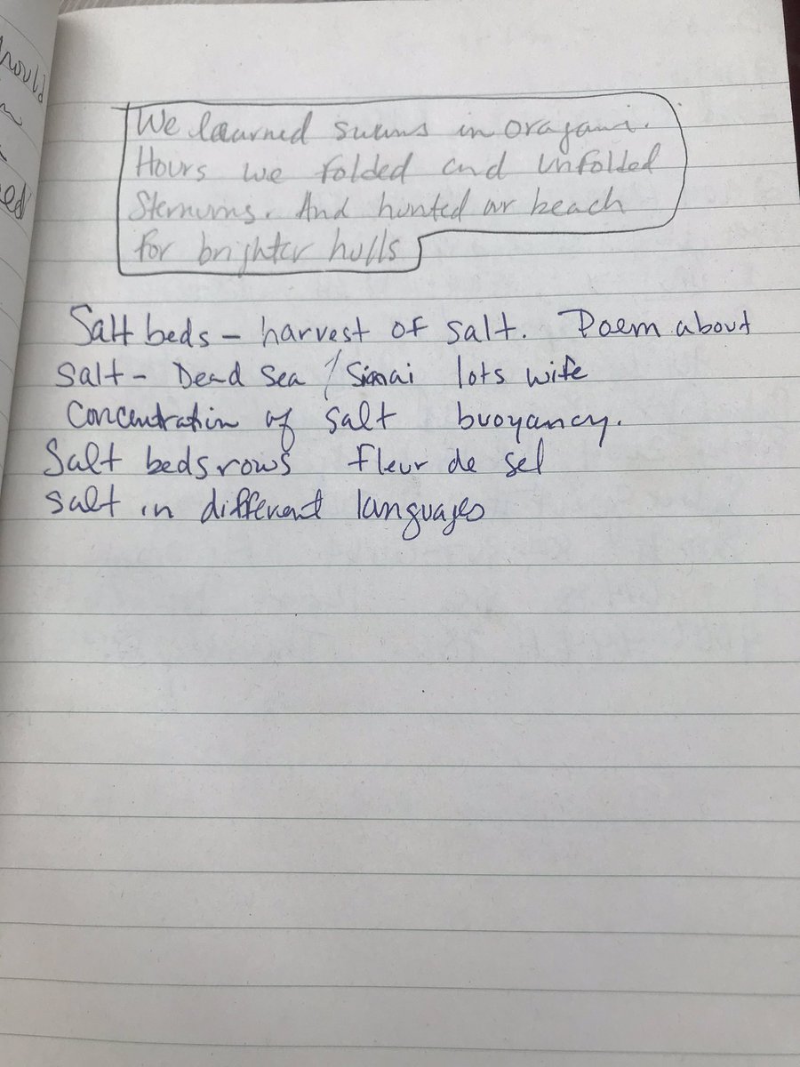 CarolinaEbeid's tweet image. My poem notes from 2004 / I still want to write that salt one🧂 

#notebookwriting #deadsea