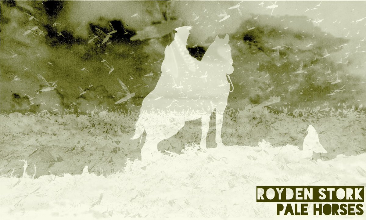 In this time of uncertainty and strife, we hold fast to a future that does not exist. All endings start at the beginning. 'Behold a pale horse and his name that sat on him was Death. And Hell followed with him.'
#royden2020 #palehorses #newmusic