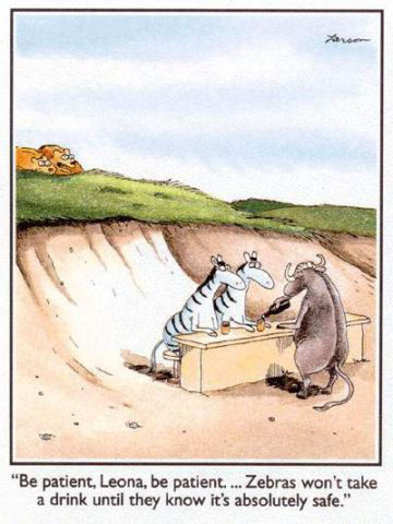 AHealthyBod's tweet image. Be patient                         The Far Side
a-healthy-body.com