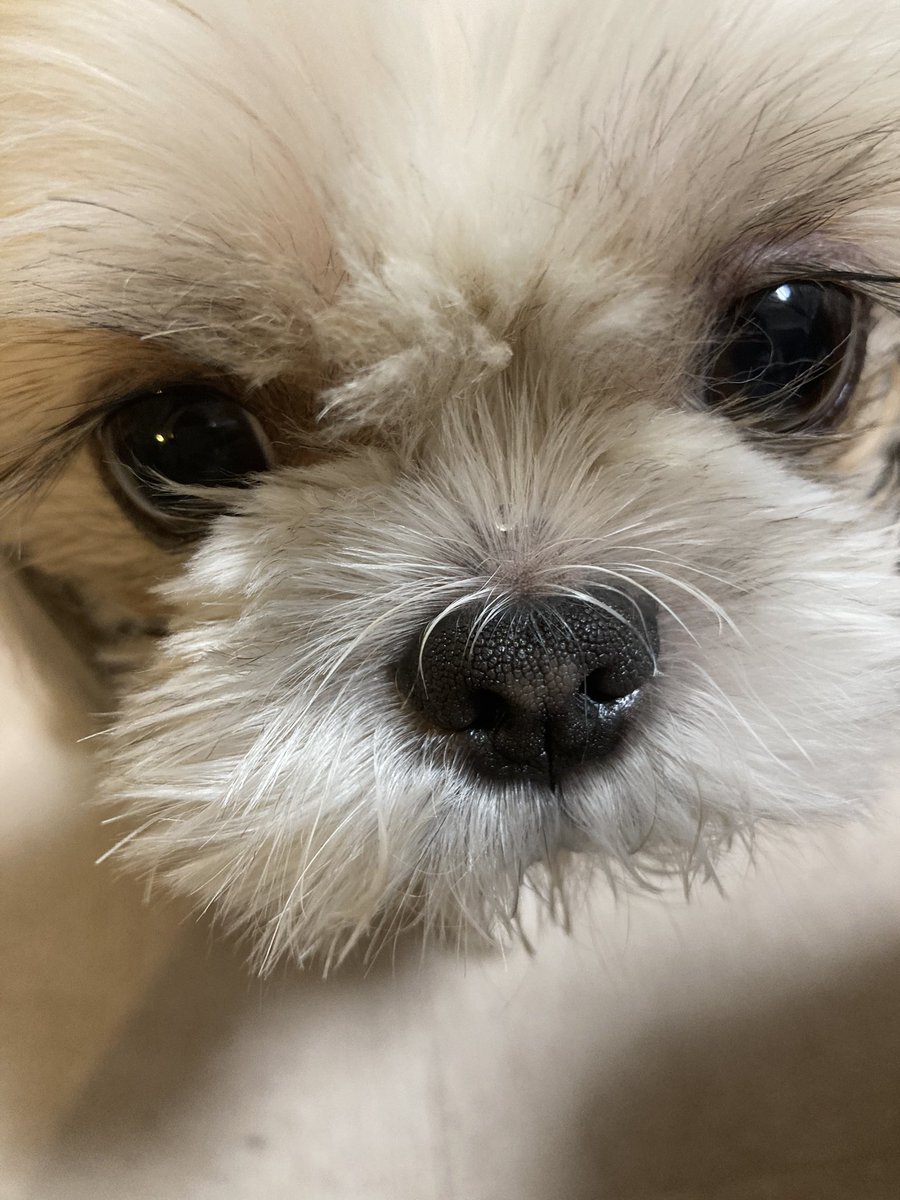 おわかりいただけるだろうか