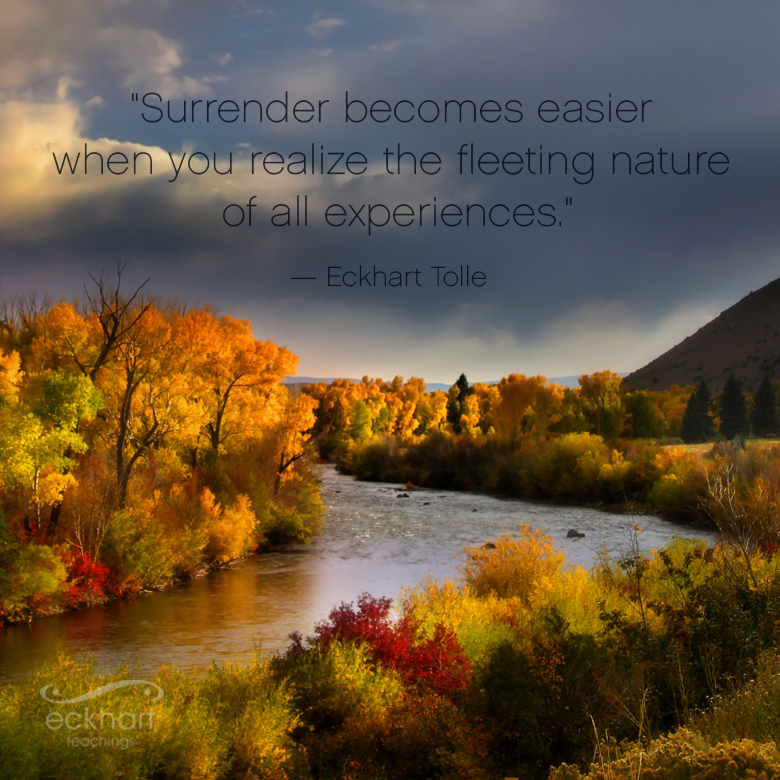 EckhartTolle's tweet photo. "Surrender becomes easier when you realize the fleeting nature of all experiences." - Eckhart Tolle https://t.co/7hjuZsqUtH