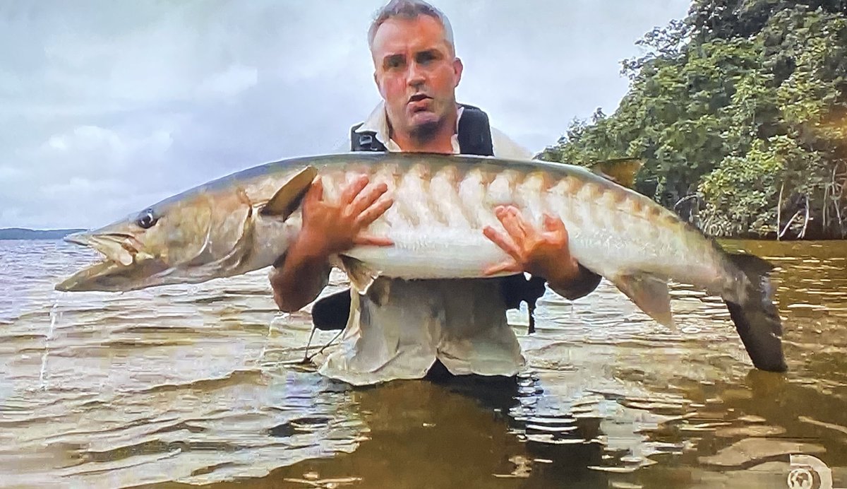 sandropacheco71's tweet photo. No sports on tonight so...I’m watching #ChasingMonsters. This time #CyrilChauquet is in Gabon, Central Africa fishing for Barracuda. Great show. https://t.co/GU8we5lwZA
