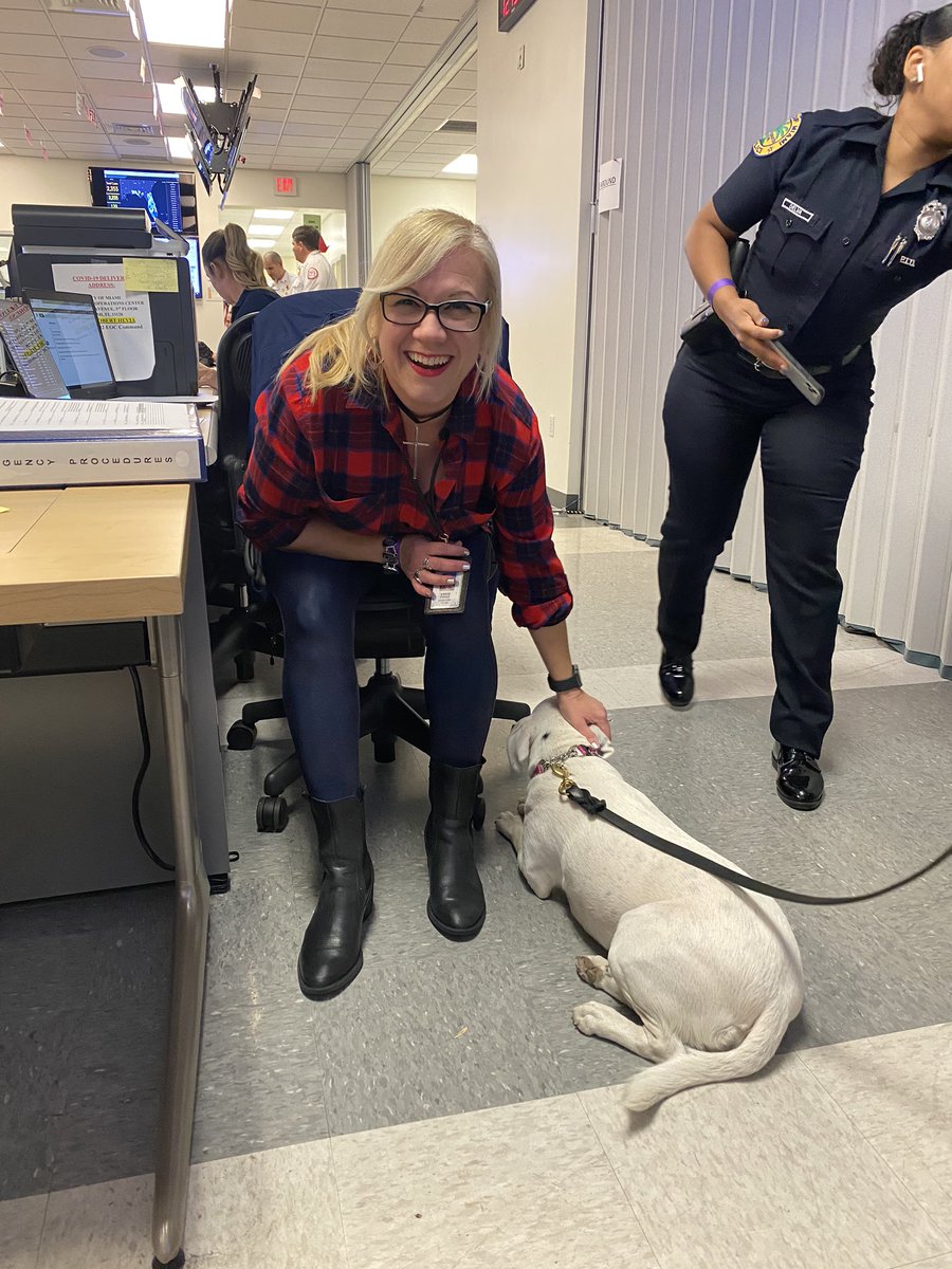 I had the pleasure of meeting Freckles at the EOC in March. She definitely brought me lots of smiles <a href="/FrecklesOf/">Freckles</a>