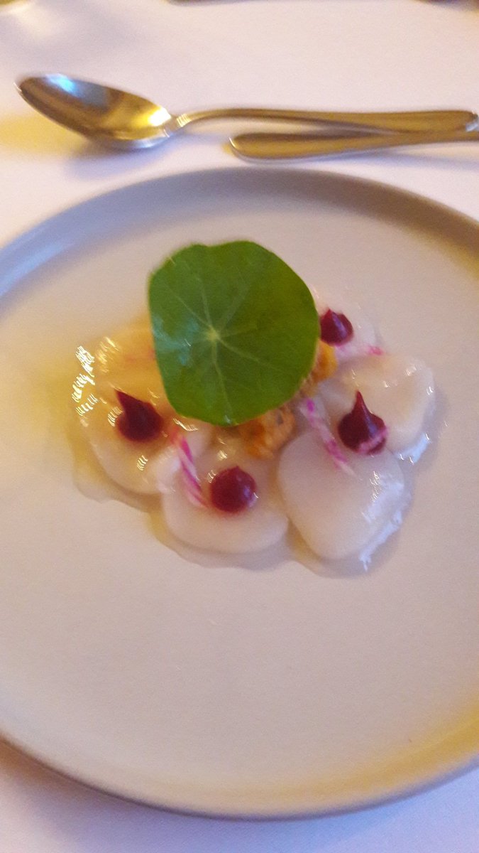 GOOD EATING GUIDE (@goodeatingguide) on Twitter photo Scallops <a href="/GhanHouse/">Ghan House</a> divine <a href="/VisitCford/">VisitCarlingford</a> <a href="/ancienteastIRL/">Ireland's Ancient East</a> <a href="/newrymournedc/">Newry and Mourne DC</a> @irelandsbluebook Scallops <a href="/GhanHouse/">Ghan House</a> divine <a href="/VisitCford/">VisitCarlingford</a> <a href="/ancienteastIRL/">Ireland's Ancient East</a> <a href="/newrymournedc/">Newry and Mourne DC</a> @irelandsbluebook