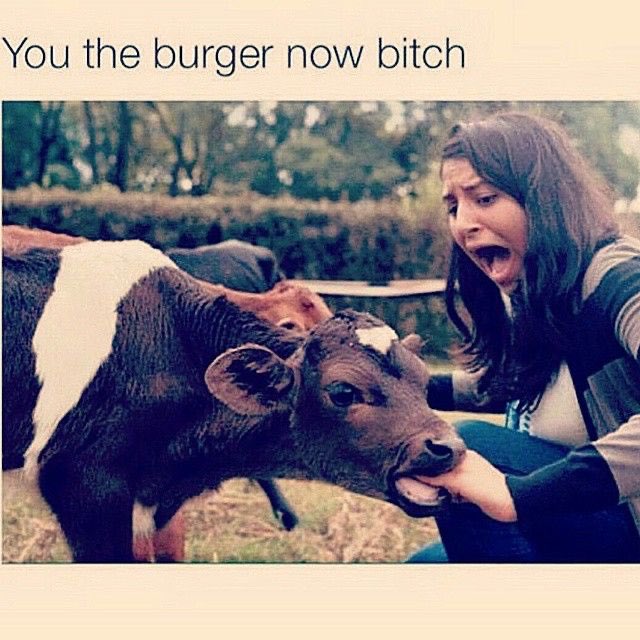 EgdDwsfWoBgoeKI