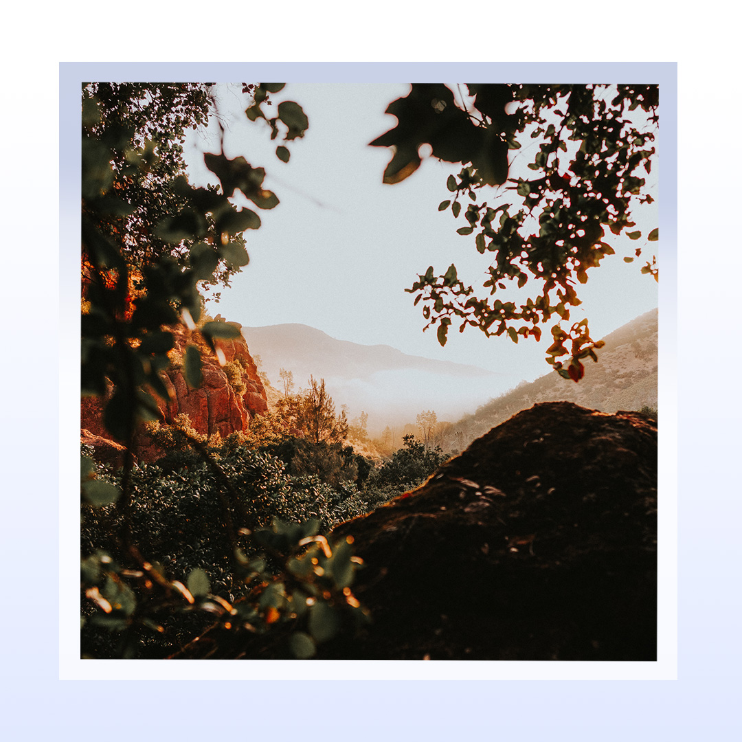 HCBetterDays's tweet image. Even though I walk through the valley of the shadow of death, I will fear no evil, for you are with me; your rod and your staff, they comfort me. 
Psalm 23:4
.
.
.
#church #churchcommunity #churches #churchfamily #counseling #counselor #faithandfamily #healing #health #jesus