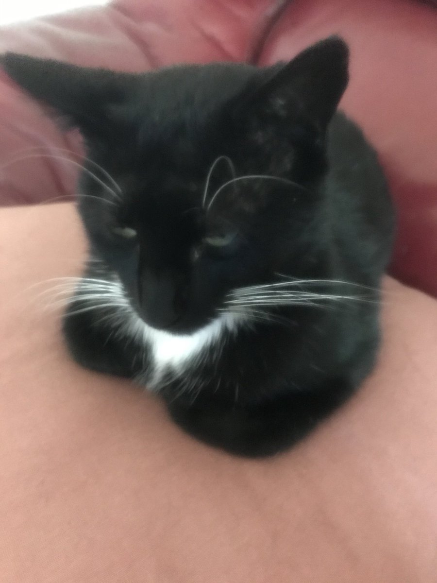 GillianClean's tweet photo. Harribo relaxing! https://t.co/9udsjddJhx