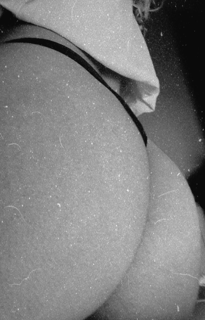 Nereayi🤡 tweet media