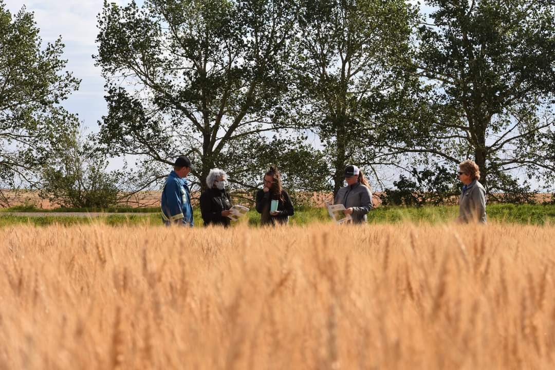 CARAresearch's tweet photo. We had a great day touring a few of our sites with @SpecialAreas staff. We appreciate that they were able to take time out of their busy schedules to come listen & tour our trials & projects that we are currently working on.
#AbAg #CdnAg #westcdnag #specialareas #Return2rural https://t.co/6pgVUyXY69
