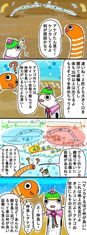 あなの中へあなご」 ケンカするほど仲良しあなご？ #チンアナゴ