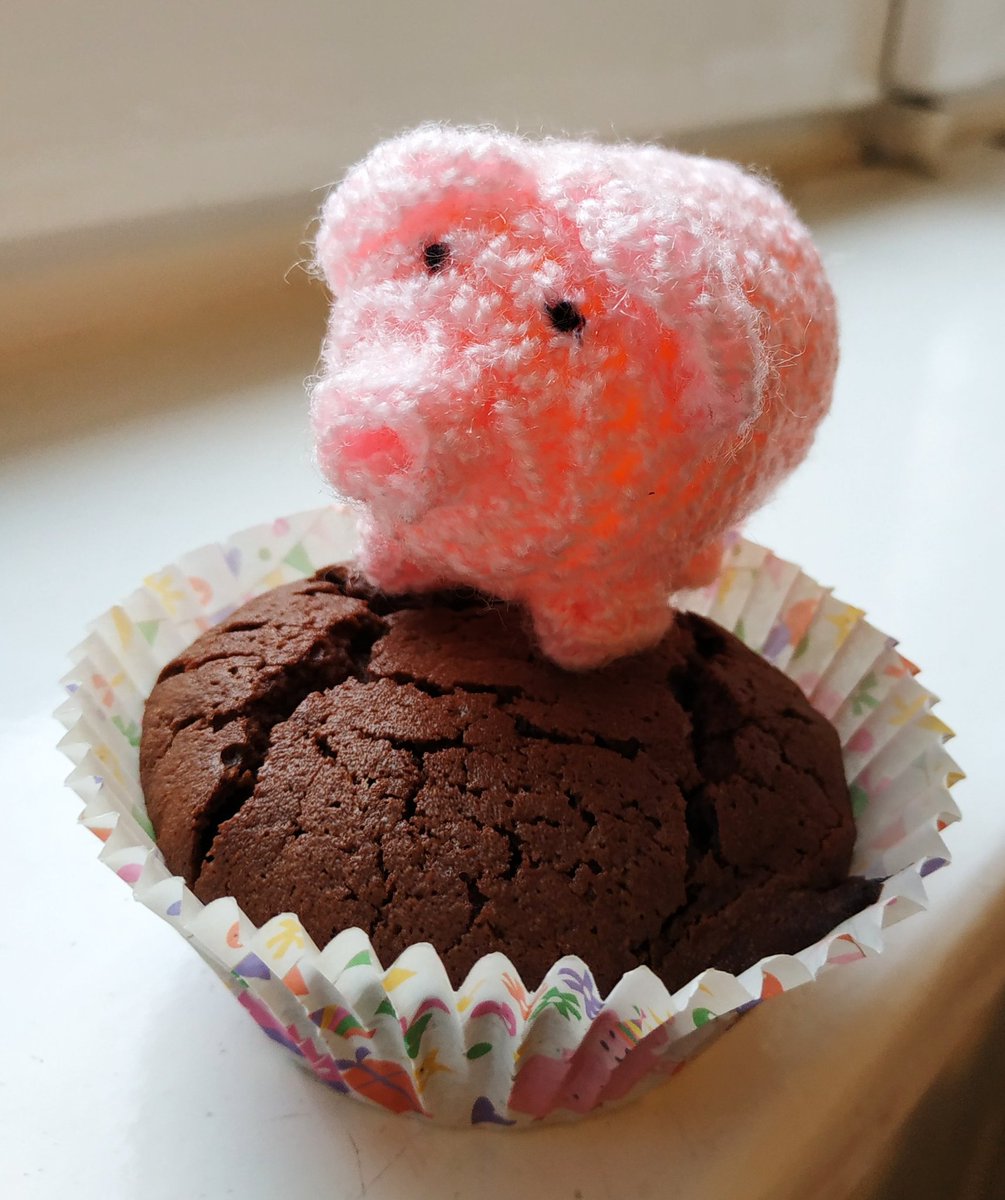 Herr Haekelschwein On Twitter Ich Sehe Unter Sturmaufberlin Uberwiegend Bilder Von Kuchen Ist Auch Viel Besser