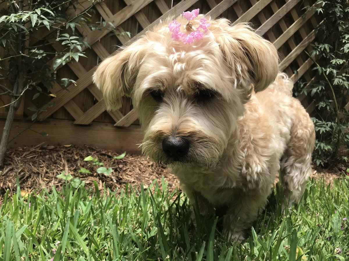pamrosen's tweet photo. @sarahcpr Maggie is interested in Stella’s opinion of her quality time availability due to said busy schedule. https://t.co/6lGZRRjYbE