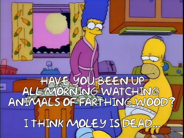 Ireland Simpsons Fans tweet media