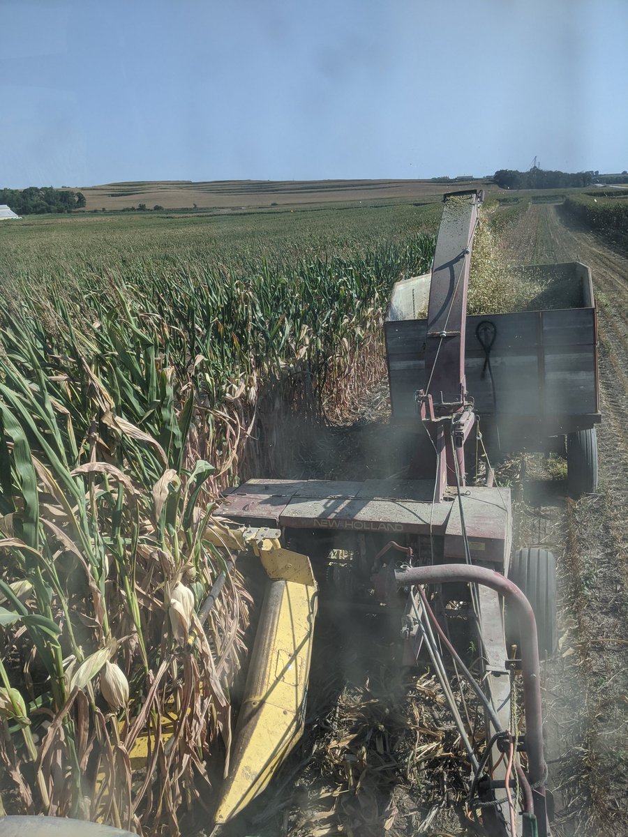 Drought=checkmate.  Guess it's time to find critters.  Goodbye enjoyable winter.