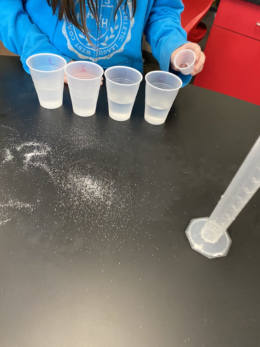 Salinity Lab today in Science - how much salt does the grape need to float?