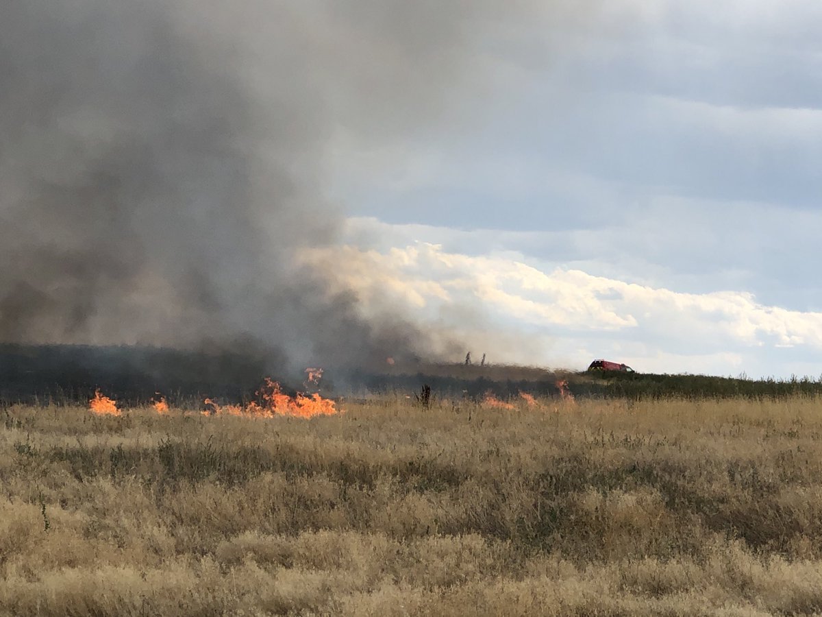 DerekJSebastian's tweet photo. Invasive annual grasses like #cheatgrass are a fine fuel, igniting very easily and carrying a fire extremely quickly!  Be careful out there and make sure to create defensible space and strategic fire breaks to avoid fires getting out of hand! https://t.co/xQG9DcGaQ9