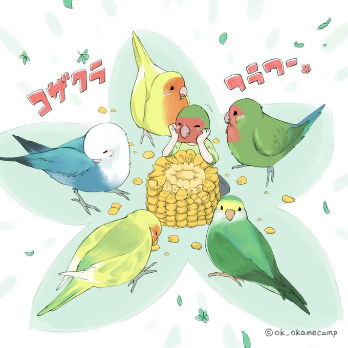 コザクラインコイラストのtwitterイラスト検索結果 古い順