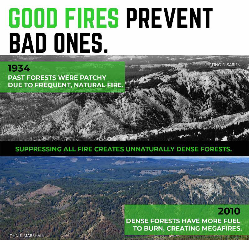 MeteoretteFinds's tweet image. From "Fire Management today" (Aug 2020, USDA) #megafire