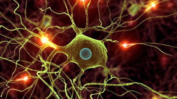 tensorflowz's tweet image. Modern Deep Learning in Python

☞ ift.tt/2ZRJCFd

#tensorflow

rJ3g-kSFxeH