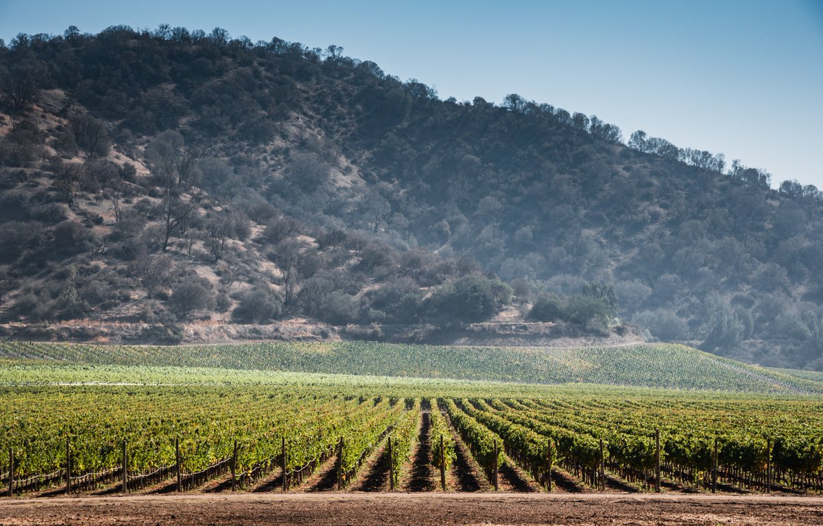 Valle del Maipo Andes  | Maipo Andes Valley
La cuna de la tradición vitivinícola en Chile I The Maipo Andes valley is the birthplace of Chilean viticultural tradition. #Vinaharasdepirque #OrganicWines #SustainableFarming #MaipoValley