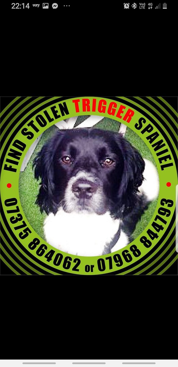 Katy54456307's tweet photo. #findtrigger https://t.co/0iMxKKjyDv