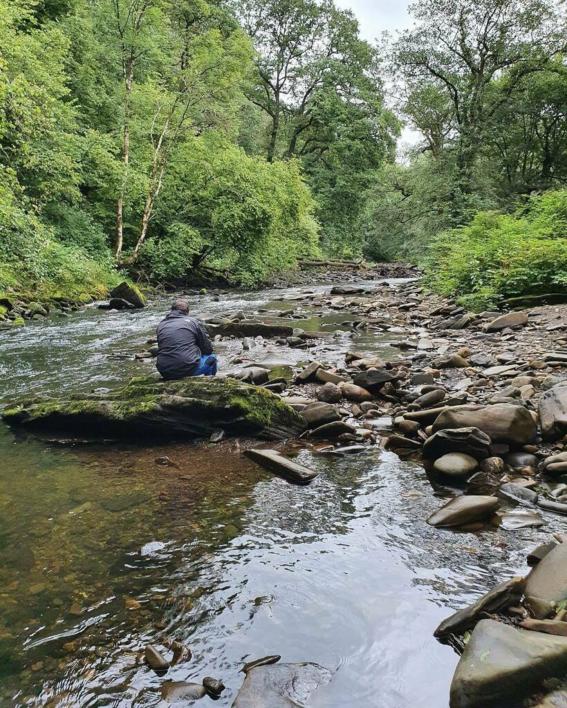 Contemplating life? Not sure what I was pondering😂🌿🎄🌱☂️🏴󠁧󠁢󠁷󠁬󠁳󠁿⛺️🏕❤️
.
.
#lonewolfcampsite #getoutside #wales #thisiscymru #woodland #explore #documentyourdays #ddhammocks #hammockcamping #naturephotography #wildernesscamping #wilderness #beautiful #scenic instagr.am/p/CEaIxdjjxtW/