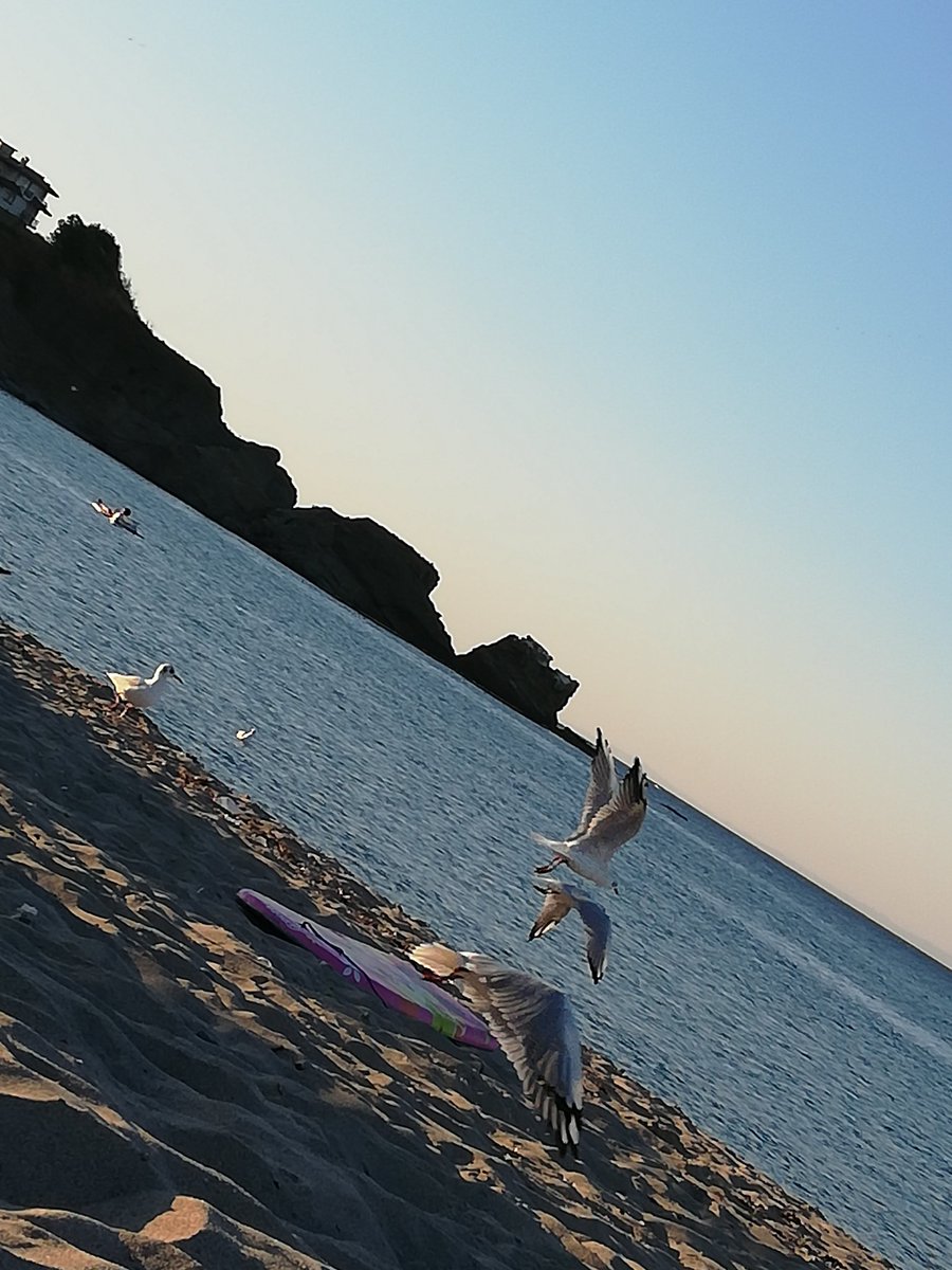 ataval's tweet photo. #Nestinarka beach in #Tsarevo on the #Black #Sea coast
🌊⛱️💙🍀👌 https://t.co/HcGDGr9Ix9