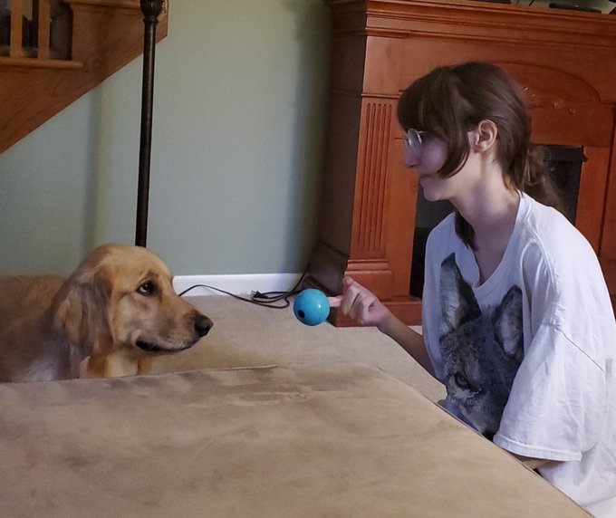 Throw the ball, bitch https://t.co/oRgy5ScKFa