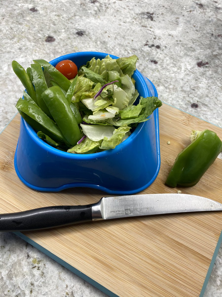 SenseiBrownSan's tweet image. Mac and Cheese LOVE their organic green pepper from our @CMSPride garden. They are used to hanging at school with the kids and they can’t wait for school to return!!! #schoolpets #cmsgarden @HallNola