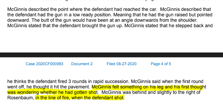 With that IMPORTANT disclaimer, let's look at the new information. McGinnis was much more involved than I realized. One of the charges is about endangering McGinnis' safety.