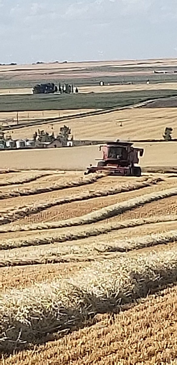 View from the office today is fantastic!