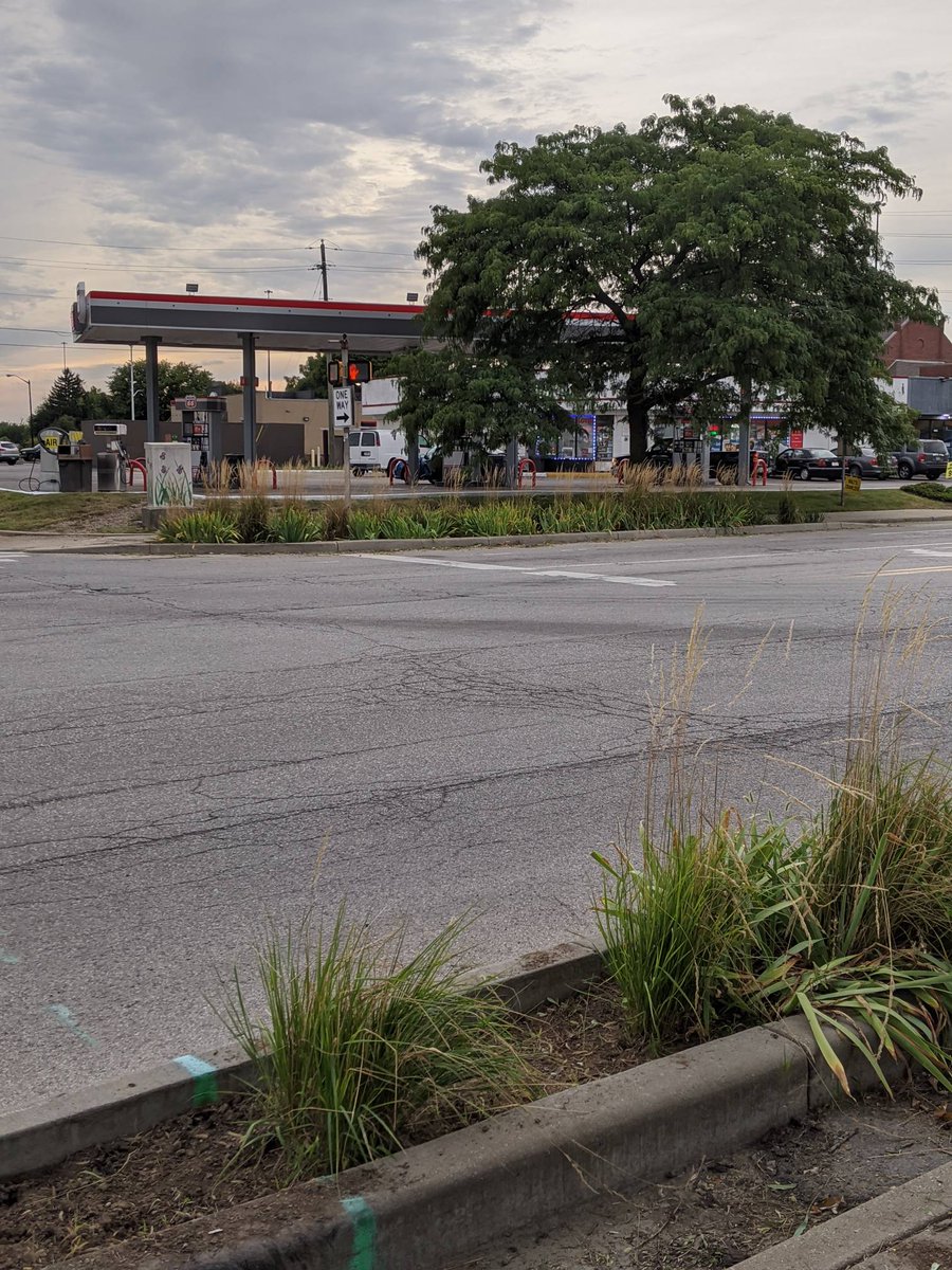 BatesHendricks's tweet image. Shout out to board member Maureen for leading a clean up tonight on the north medians and Orange Park! They look great!