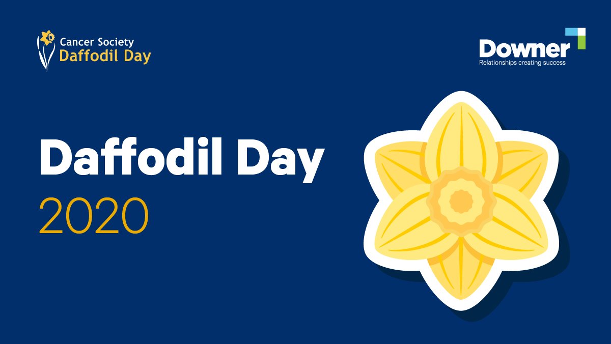 Today marks the 30th year of Daffodil day in New Zealand. 1 in 3 New Zealanders are affected by cancer and although today may look a little different to previous years, you can keep your distance but still show your aroha and support by donating online. bit.ly/34Ewl8p