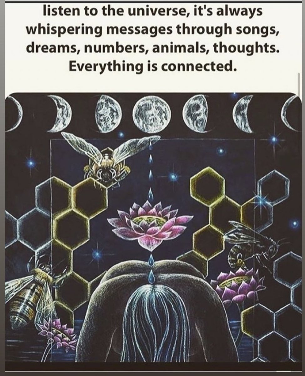 NicoleSilvana_'s tweet image. Listen to your #AngelSigns 🙏🏼