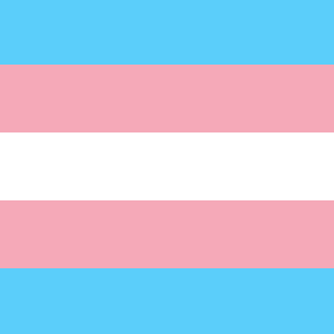☆ hajime hinatabisexual and trans (he/him, considering trying neopronouns)