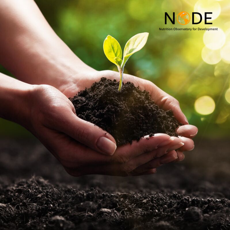 NODE is here to help you easily connect with the #globalnutrition community! 

Check out the latest news on #nutrition and international #development by joining our newsletter, here 👇

nutritionobservatory.org/newsletter