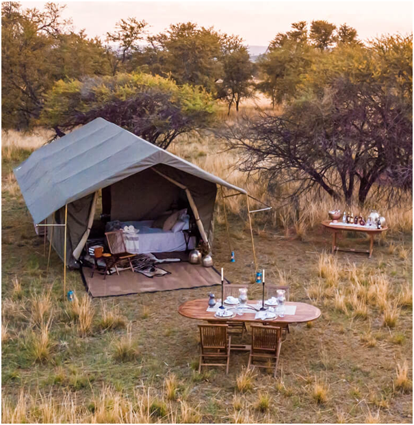 Budget Safari is more about discovering the forest bundled in luxury. We sell variety of camping safaris to allow you pick your first one.

#budgetsafari  #travel #comfort  #travelphotography #photography #nature #travelgram  #photooftheday #instatravel #faceofafricaadventures